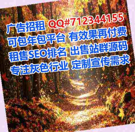 苏仙代怀软件工作室
